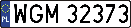 WGM32373