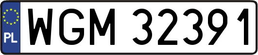 WGM32391