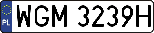 WGM3239H