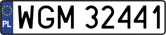 WGM32441