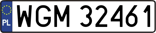 WGM32461