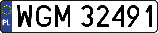 WGM32491