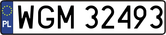 WGM32493
