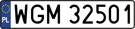 WGM32501