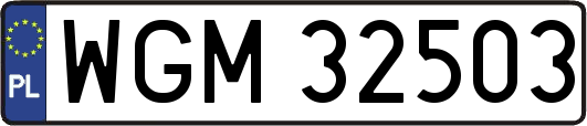 WGM32503