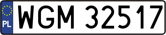 WGM32517