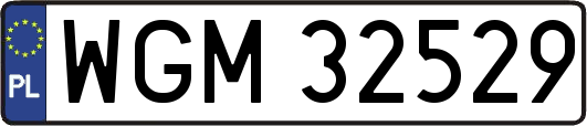 WGM32529