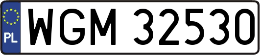 WGM32530