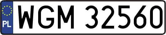 WGM32560