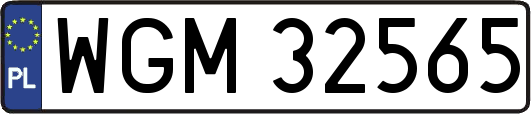 WGM32565