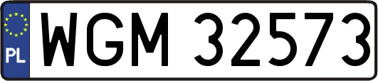 WGM32573