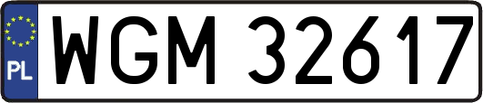 WGM32617