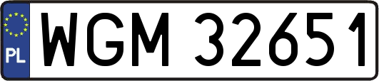 WGM32651