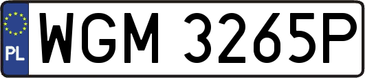 WGM3265P