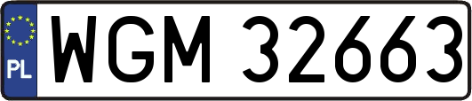 WGM32663