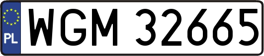 WGM32665