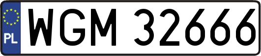 WGM32666