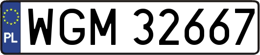 WGM32667