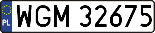 WGM32675