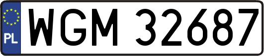 WGM32687