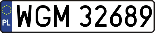 WGM32689
