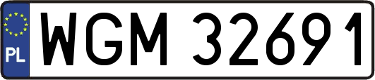 WGM32691