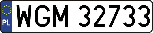 WGM32733