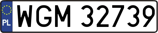 WGM32739