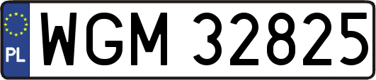 WGM32825