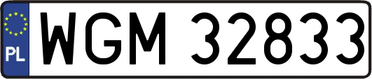 WGM32833