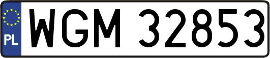 WGM32853