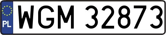 WGM32873