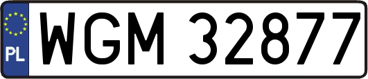 WGM32877