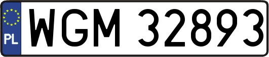WGM32893