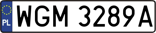 WGM3289A