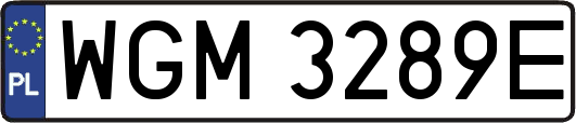 WGM3289E