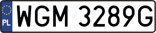 WGM3289G