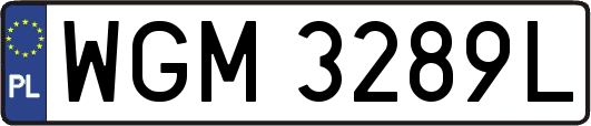 WGM3289L