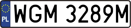WGM3289M