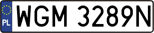 WGM3289N