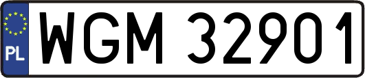 WGM32901