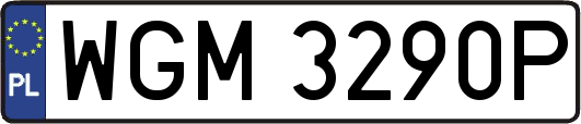 WGM3290P