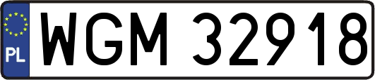 WGM32918