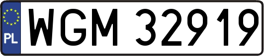 WGM32919