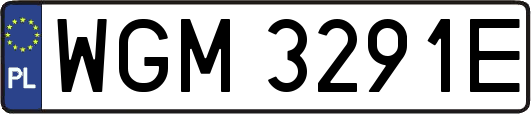 WGM3291E