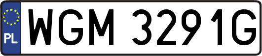 WGM3291G