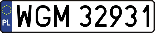 WGM32931