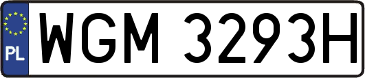 WGM3293H