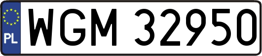 WGM32950