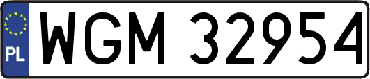 WGM32954